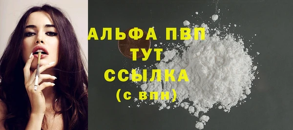 молекула духа Белоозёрский