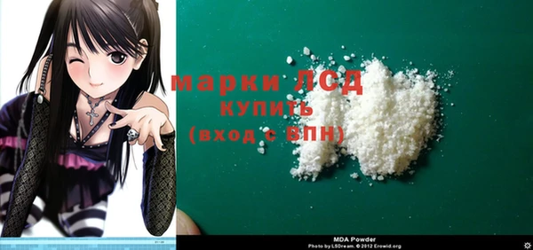 хмурый Белокуриха