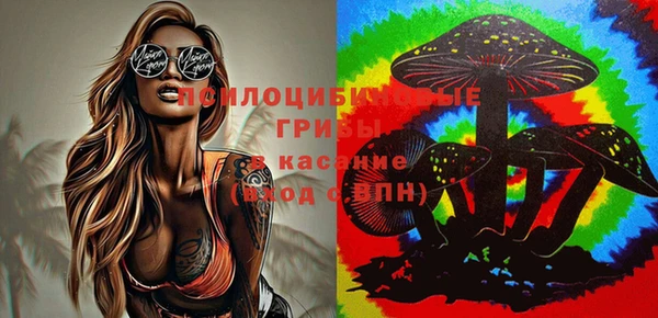 молекула духа Белоозёрский