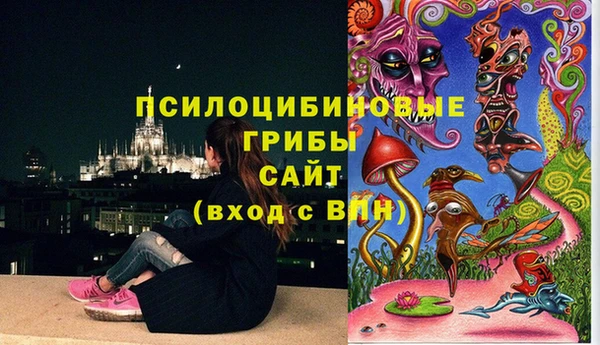 хмурый Белокуриха
