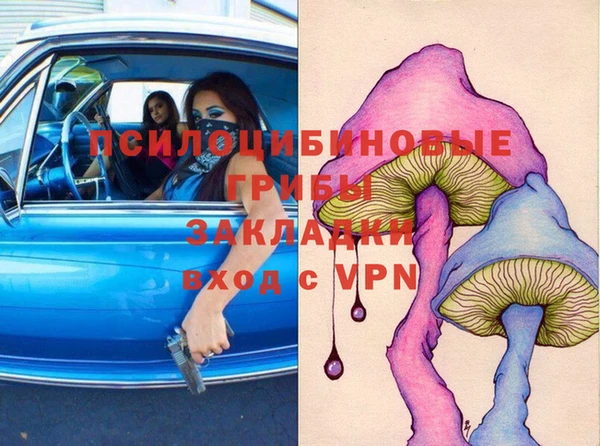 хмурый Белокуриха