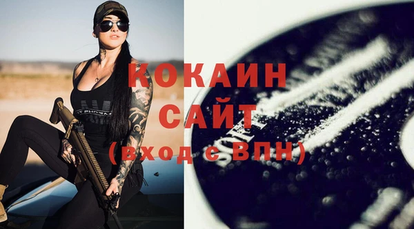хмурый Белокуриха