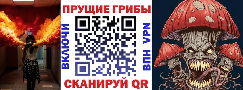 Псилоцибиновые грибы прущие грибы Ермолино